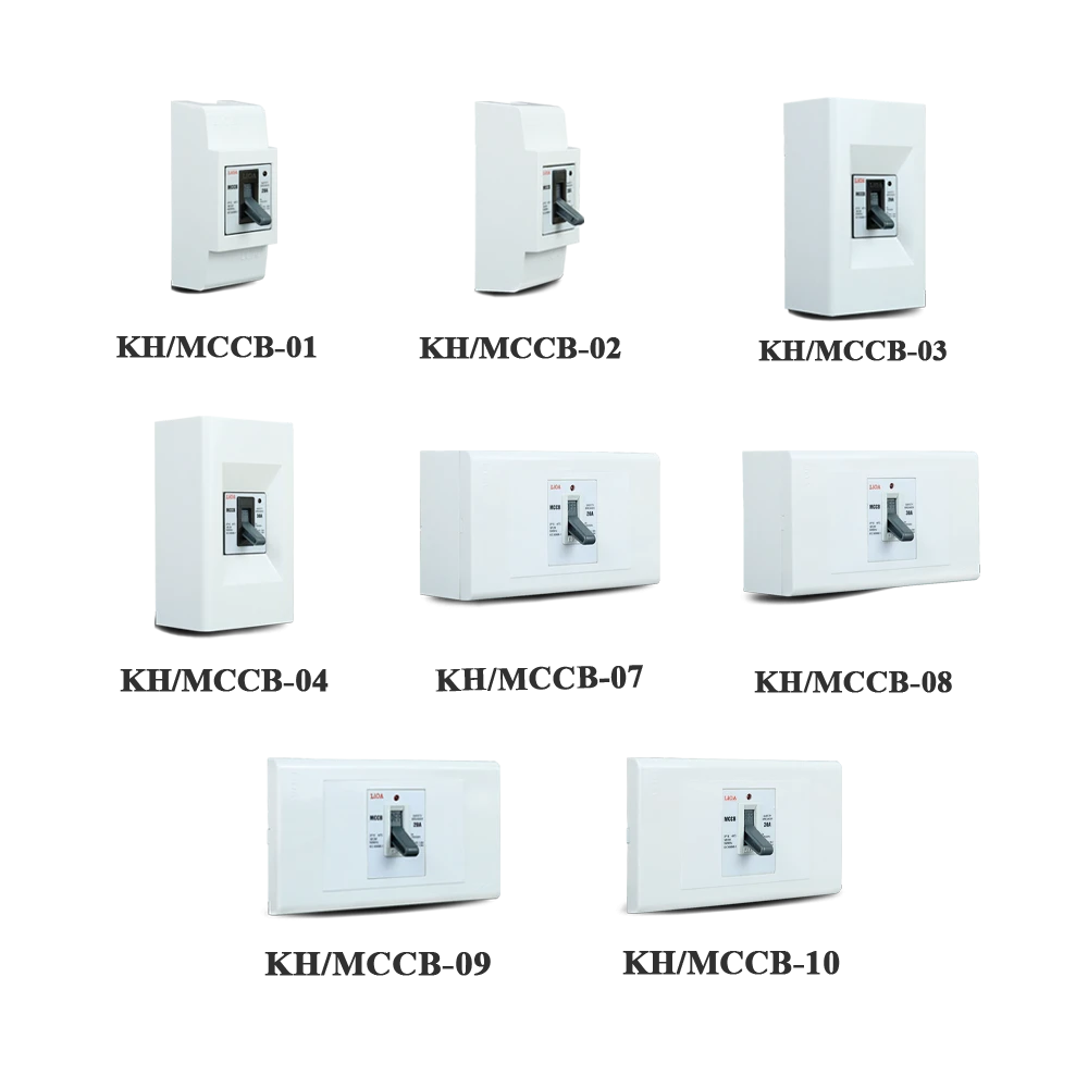 Aptomat MCCB kèm mặt/hộp chứa lắp nổi LiOA