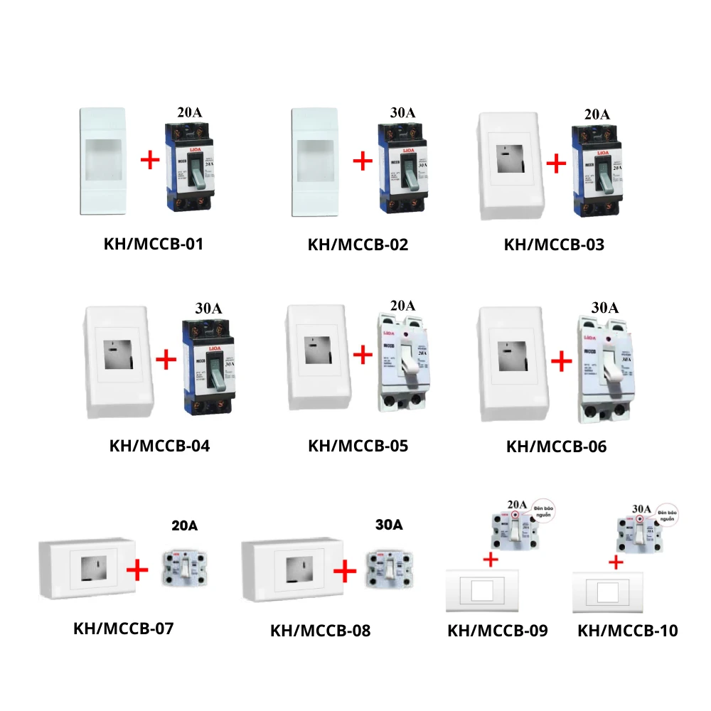 Aptomat MCCB kèm mặt/hộp chứa lắp nổi LiOA