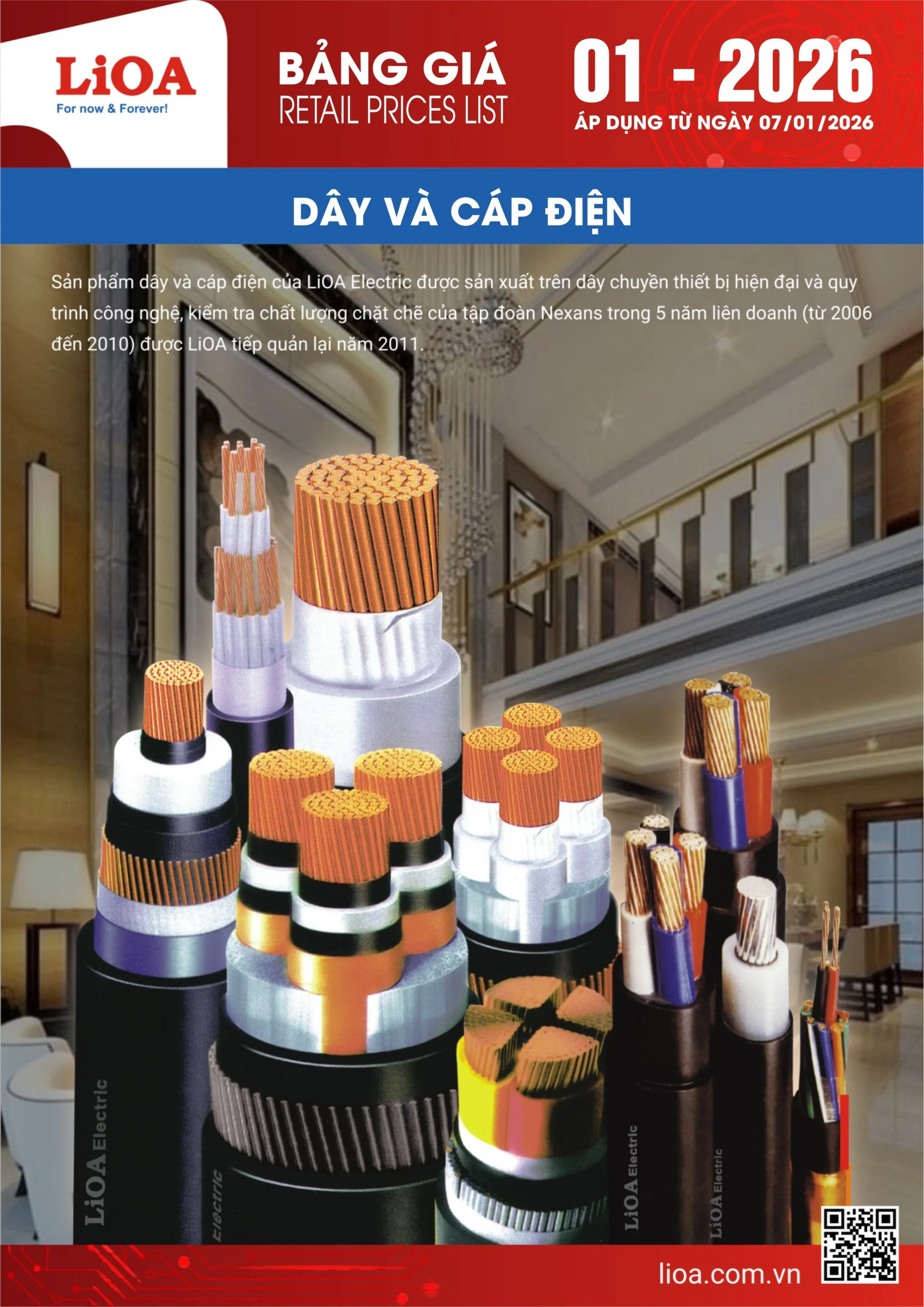 Dây và Cáp 01-2024